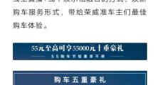 荣威rx5 max，上海的车主，最近购车上海确定有这个活动吗